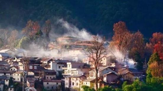 灰烬未落，怜悯自生：赵富忠《从亲友的葬礼上回来》细读