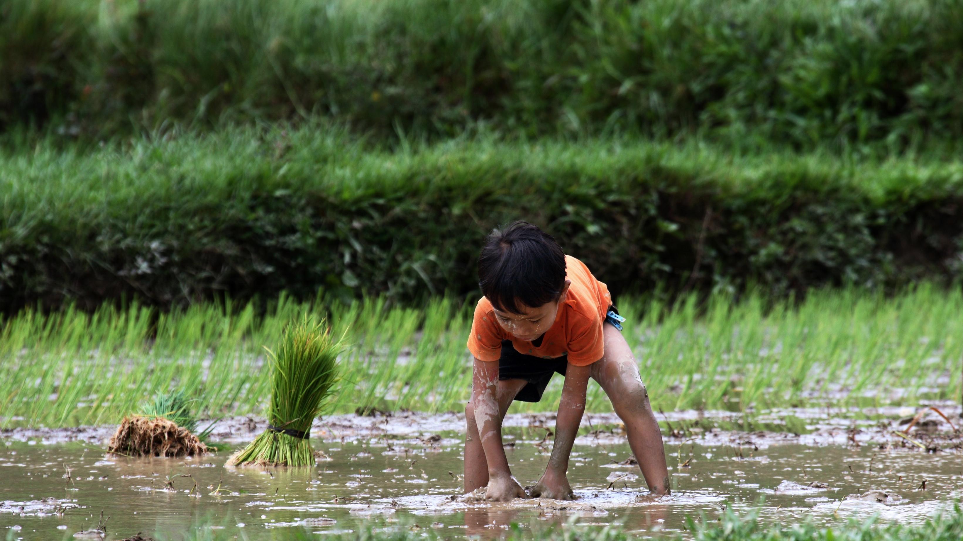 为什么今年花钱更有感觉？