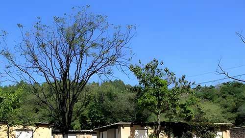 西柏坡干部培训学院：为什么一场红色学习，能让你的团队脱胎换骨？