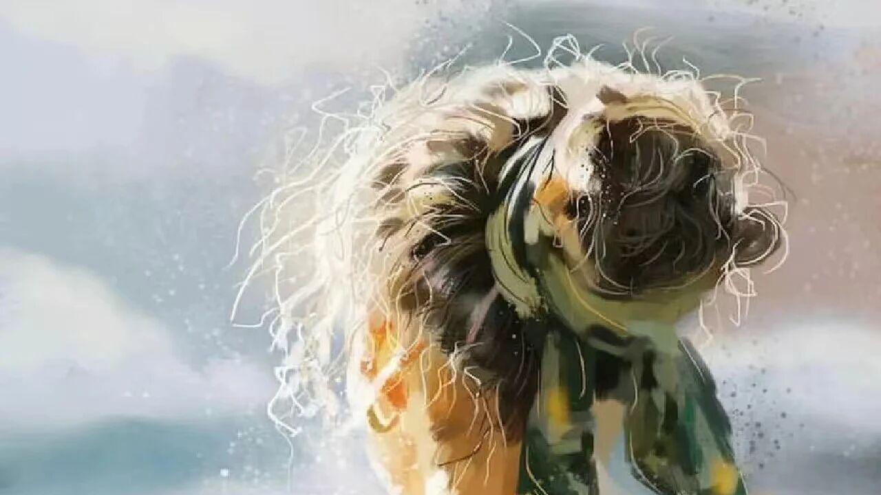 庄子：人生下半场，请善待自己