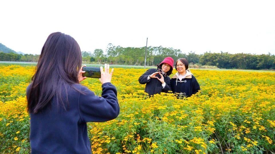 来禾云赏花啦！免费！