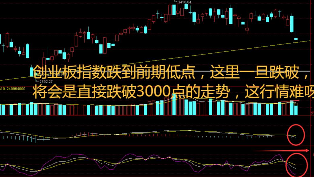 绿中一点红！三大指数齐跌，农业股惊现批量涨停
