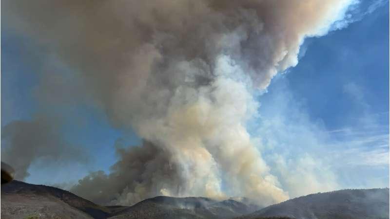 澳大利亚宣布灾难状态，丛林大火肆虐