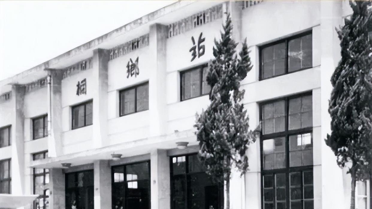 浙江桐乡往事：略知皮毛的桐城 ，带你去看看37年前的梧桐镇，是长什么样子滴