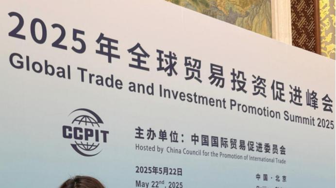 以商为桥 以心为炬——中非文化交流使者李爱丽的时代征程