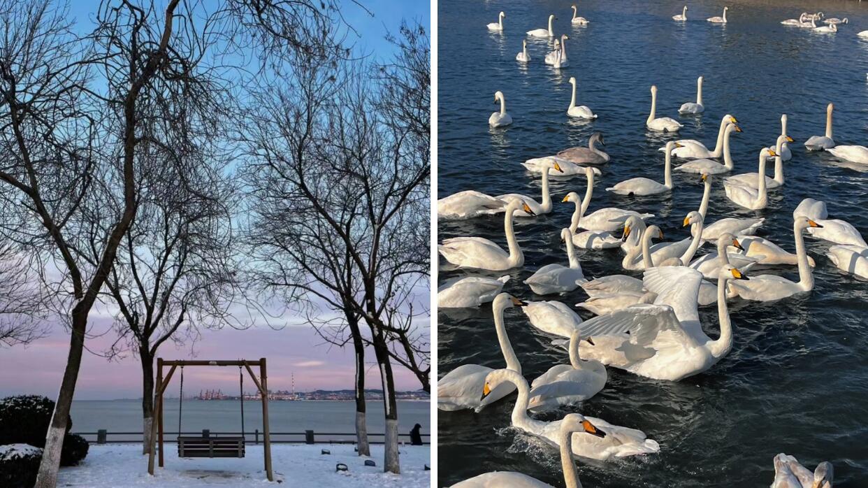 如果来威海旅行玩三天，按照这个路线就行