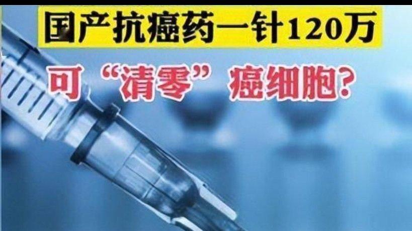 CAR-T 细胞扩增阶段的关键干预：决定长期存续与抗肿瘤效能的核心环节