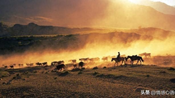 心理学上说：心里学上说：当甩手掌柜，是养心性的平衡艺术