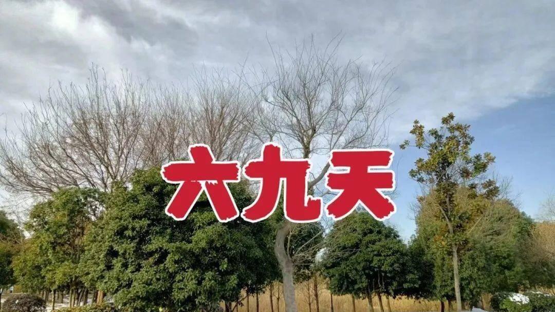 六九临近，今年大不同“春打六九头”藏着啥说法？老辈人早有答案