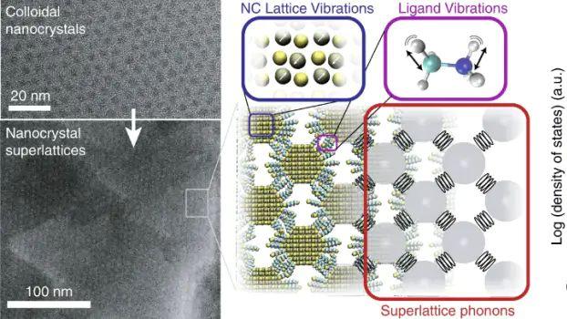 什么是声子和晶格振动？定义、热力学特性及固体物理研究进展解析