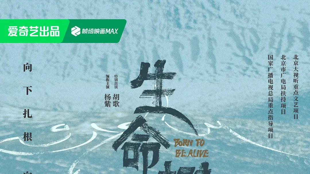 努力只存在于个人成长领域（下） ——电视剧《生命树》第14-17集 刷剧感想