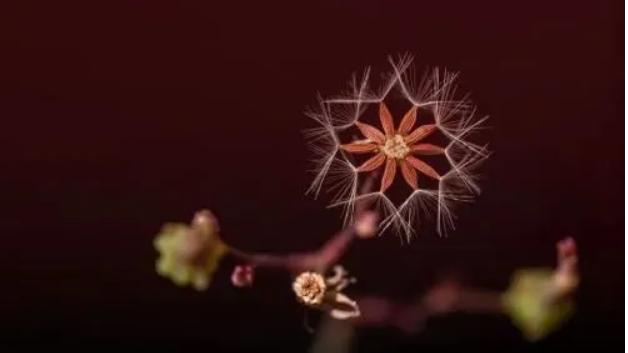 你是在“完成任务”，还是在“迎接考验”？一念之差，决定了16%的绩效差距