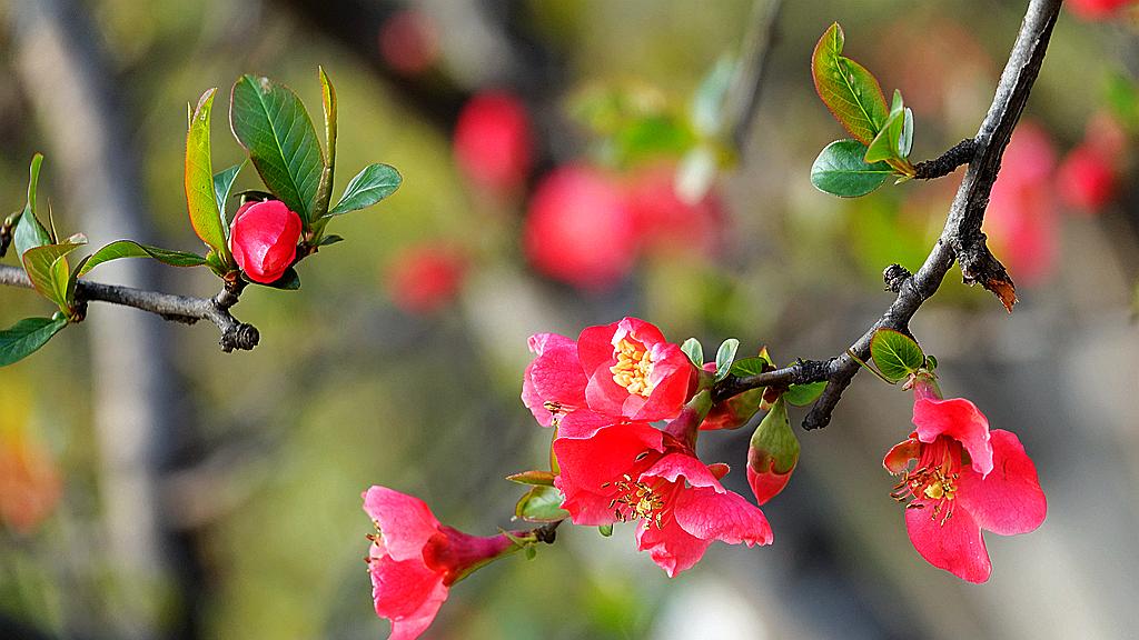 学会“跳出来”，你就赢了