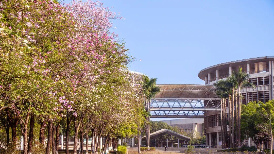 华南师范大学王牌专业好不好？师范热持续升温，高考生必看