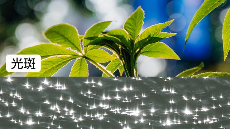 光斑/星芒/雨丝/丁达尔光拍摄参数教程