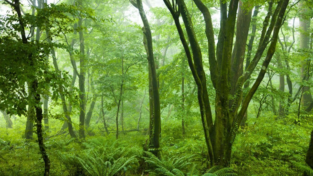 棉纸袋：防油防潮+全生态循环的实用环保包装