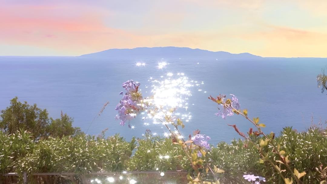 西双版纳23℃冬天爆火，孩子玩嗨却惹生态争议？