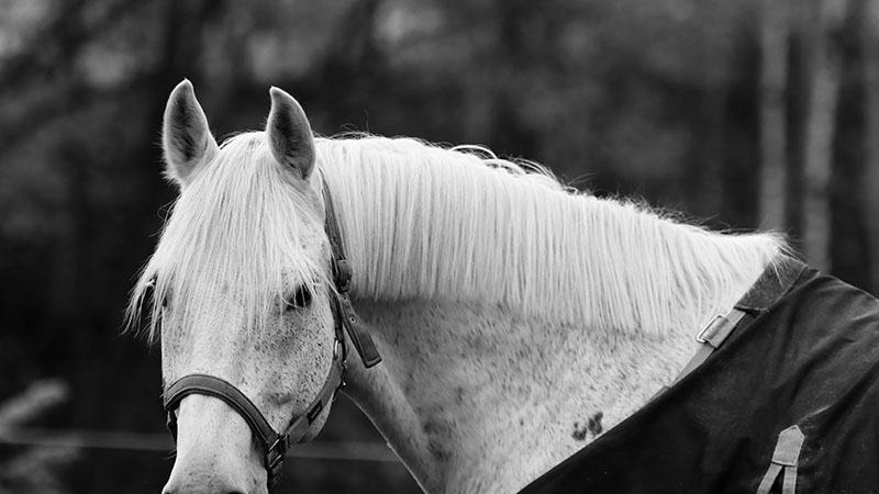 经典的双标：日久见人心，你真能做到？