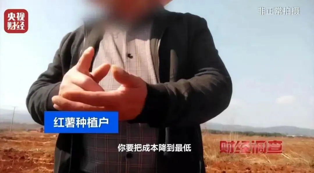 “百亿补贴”难补安全漏洞，“毒红薯”流入拼多多？