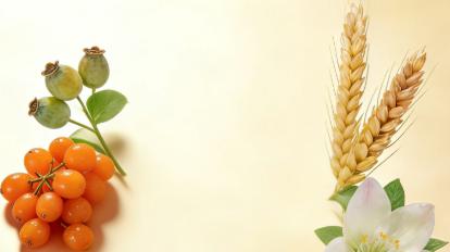 30岁后脸容易垮？搞懂这4个成分，护肤不再白花钱