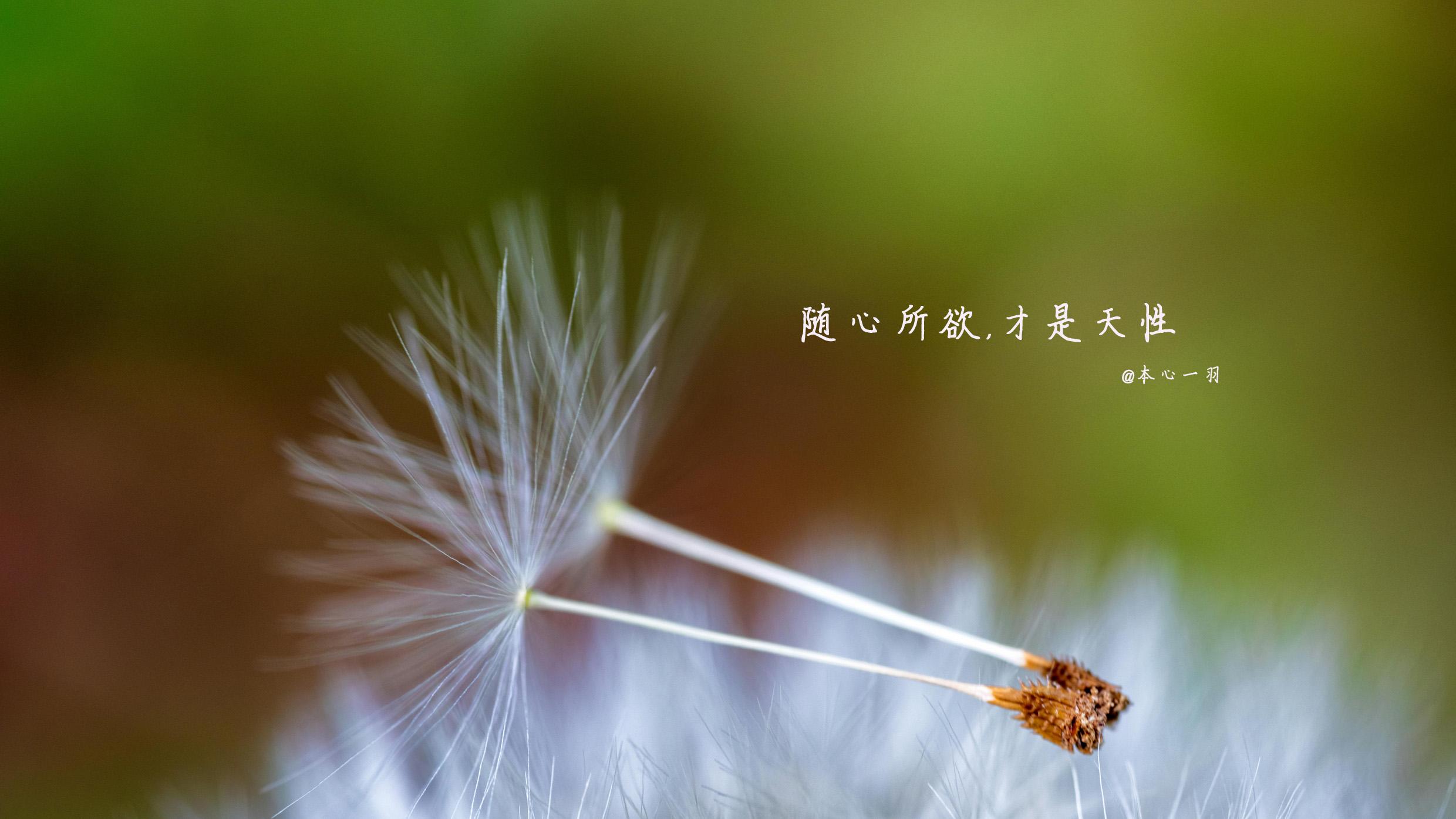 生活答案，人生意义，情感价值，逝世日期，四个不可名状的疑虑