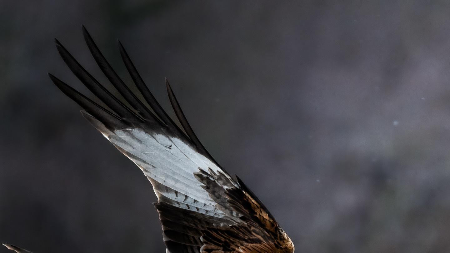 为什么就算是本性善良的人，有时候也会做出坏事？