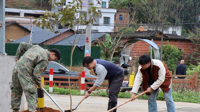 阳山县：春风植新绿 民兵助振兴