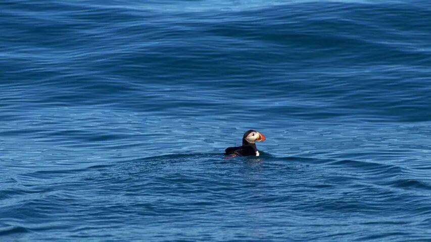 家电企业掉进“伪用户”时代的大坑