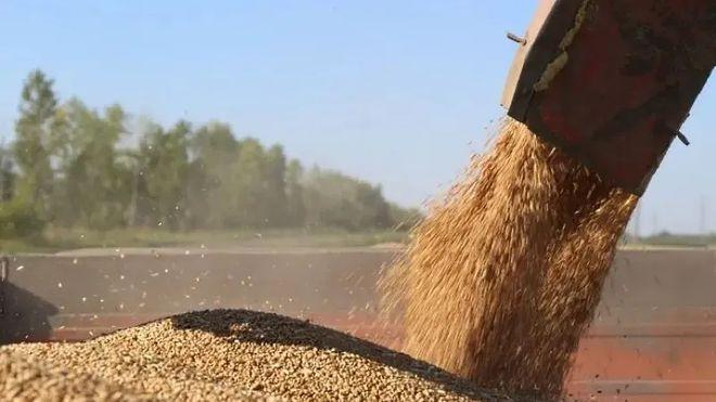 欧洲多国封锁边境口岸，抵制乌克兰廉价农产品进入，这意味着什么