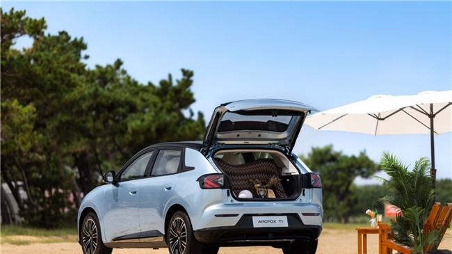 8万纯电家用 SUV 对决：极狐T1与零跑 A10 谁更值得买？