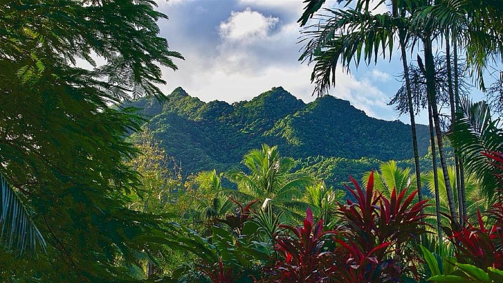 德国总理默茨，首访为何落子北京