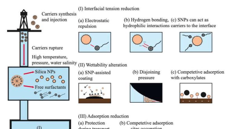 斯科尔科沃科技学院提出新招：纳米封装表面活性剂助力石油高效采收