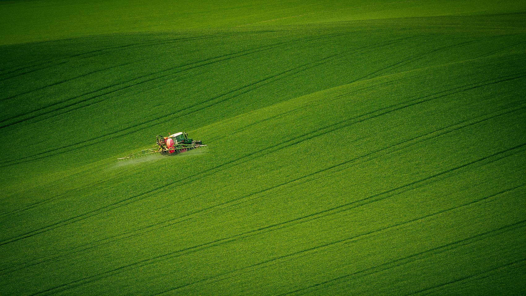 汪缘堂：如何判断比劫归谁？