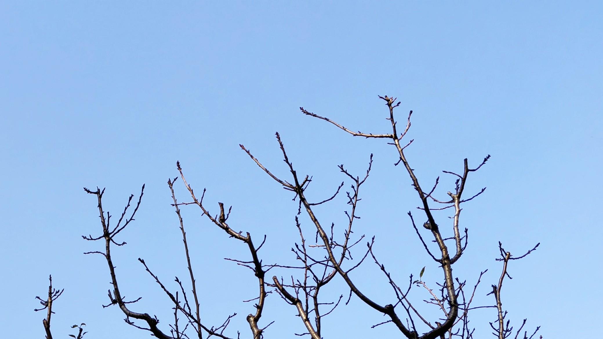 职场真相：想要自洽不容易