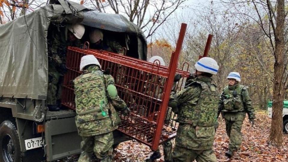 半年杀了9765头熊，再创新纪录，焚烧厂：烧不完，尸体还在送来！ 焚烧赶不上捕杀的速度！日本近万头熊