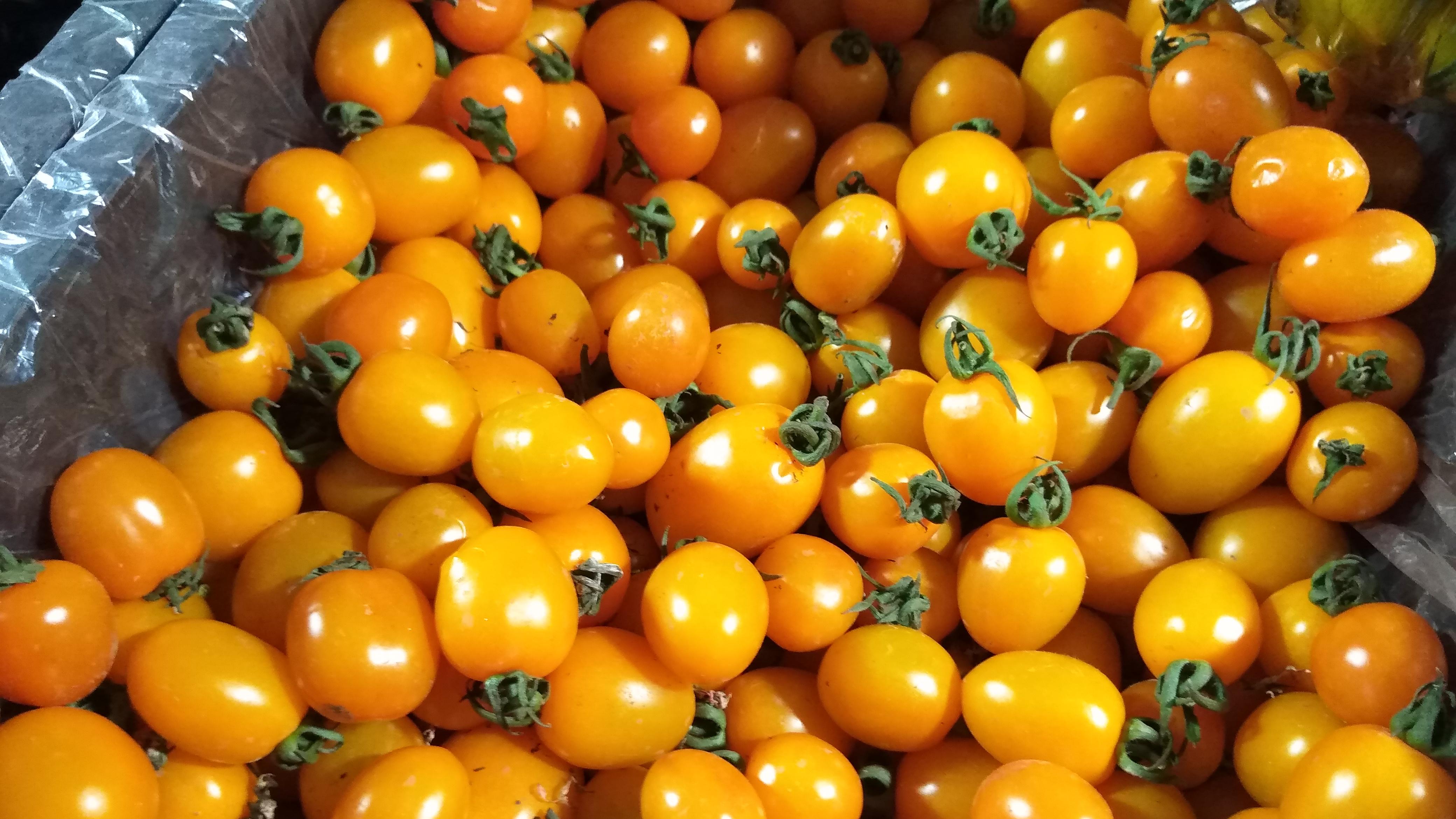 你见过黑色番茄吗？