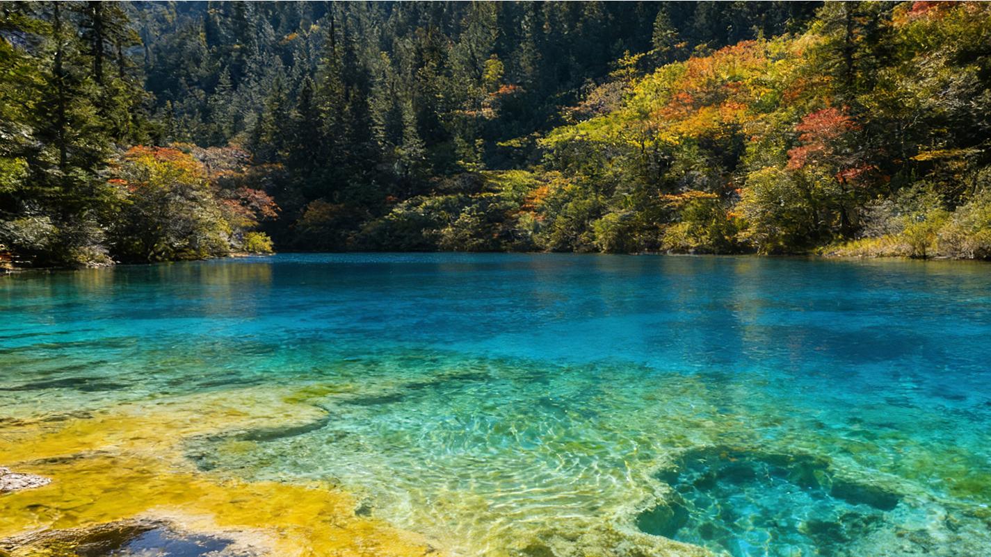 四川旅游必去的5个景点，导游小胡说漏嘴：第3个90%游客都错过了！