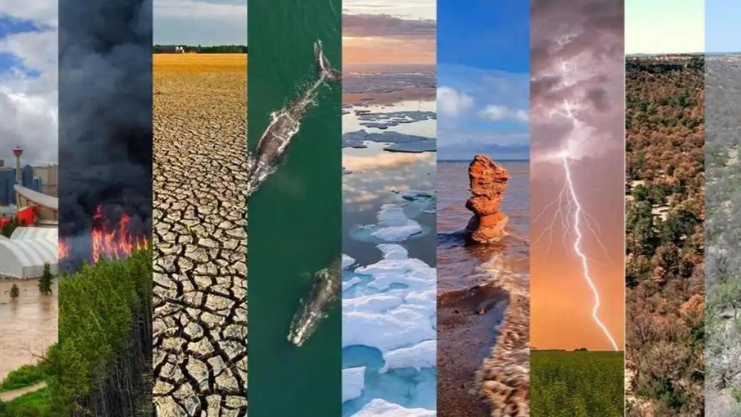 北极海冰面积连续2年创新低，仅剩不足130万，2035年会彻底消失？ 北极海冰已连续2年创面积新低，