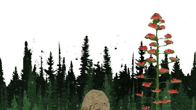 那个祈求上天杀了自己的女孩，现在过得怎么样了？