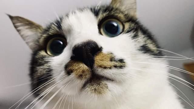 第三季度利润大增！这家上市公司的“王炸”锋芒初露