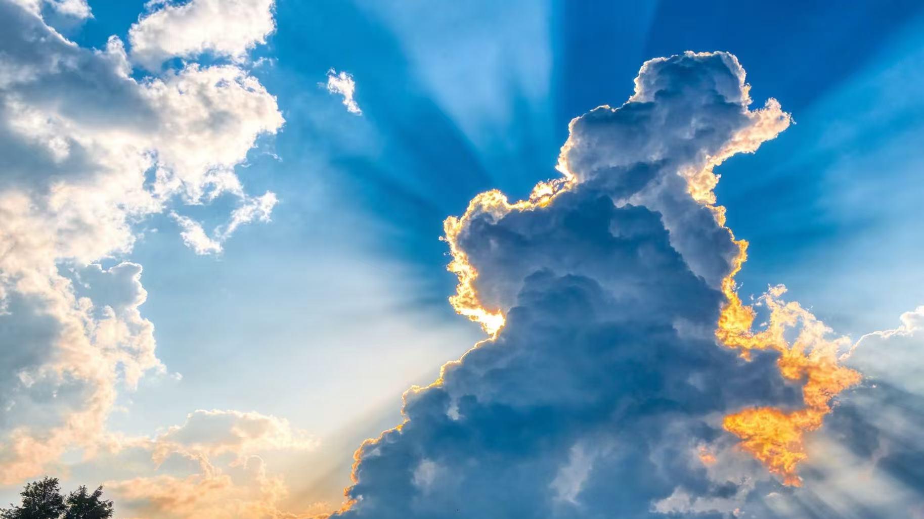 还我眼睛：一场鼻腔手术致右眼失明，患者控诉诊疗乱象与鉴定争议