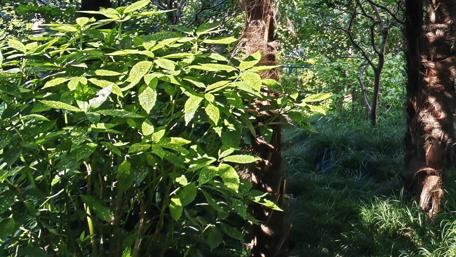 职场复杂，如何利他？