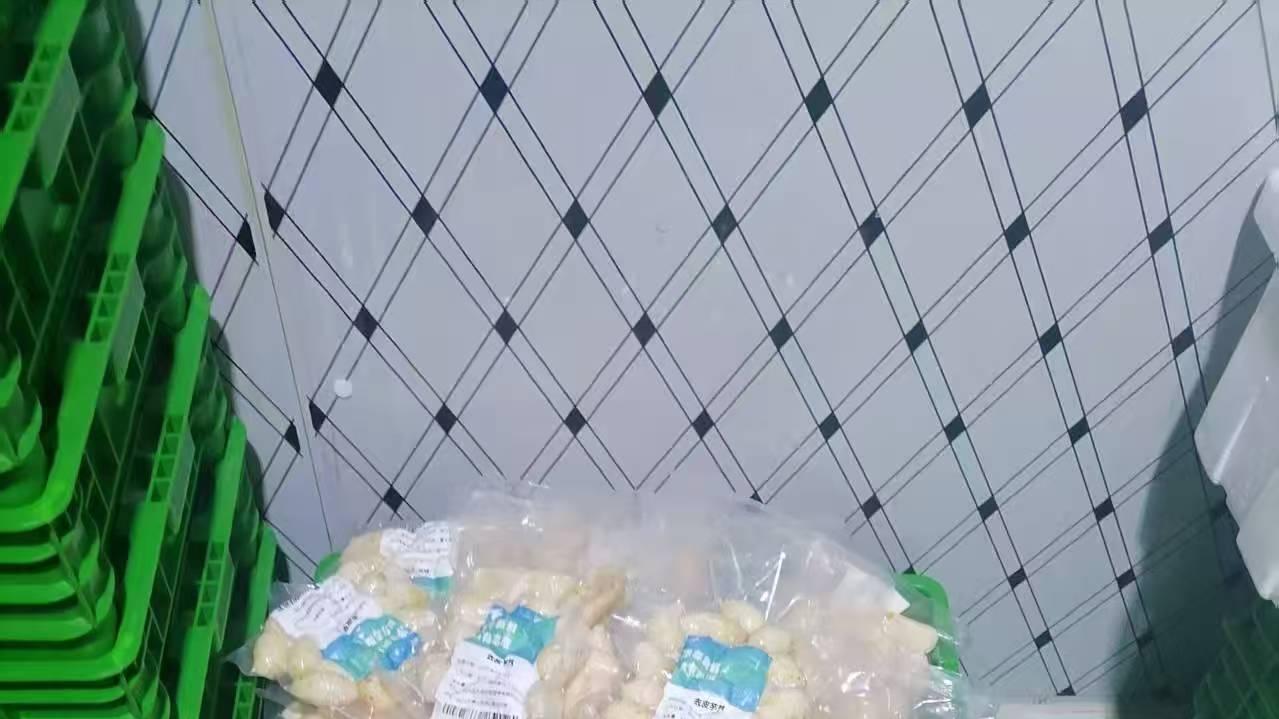 靠谱的净菜配送专业公司分析，了解这些让你选购不再迷茫