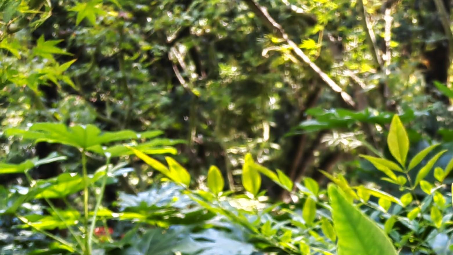 职场真相：资深，却不通透？