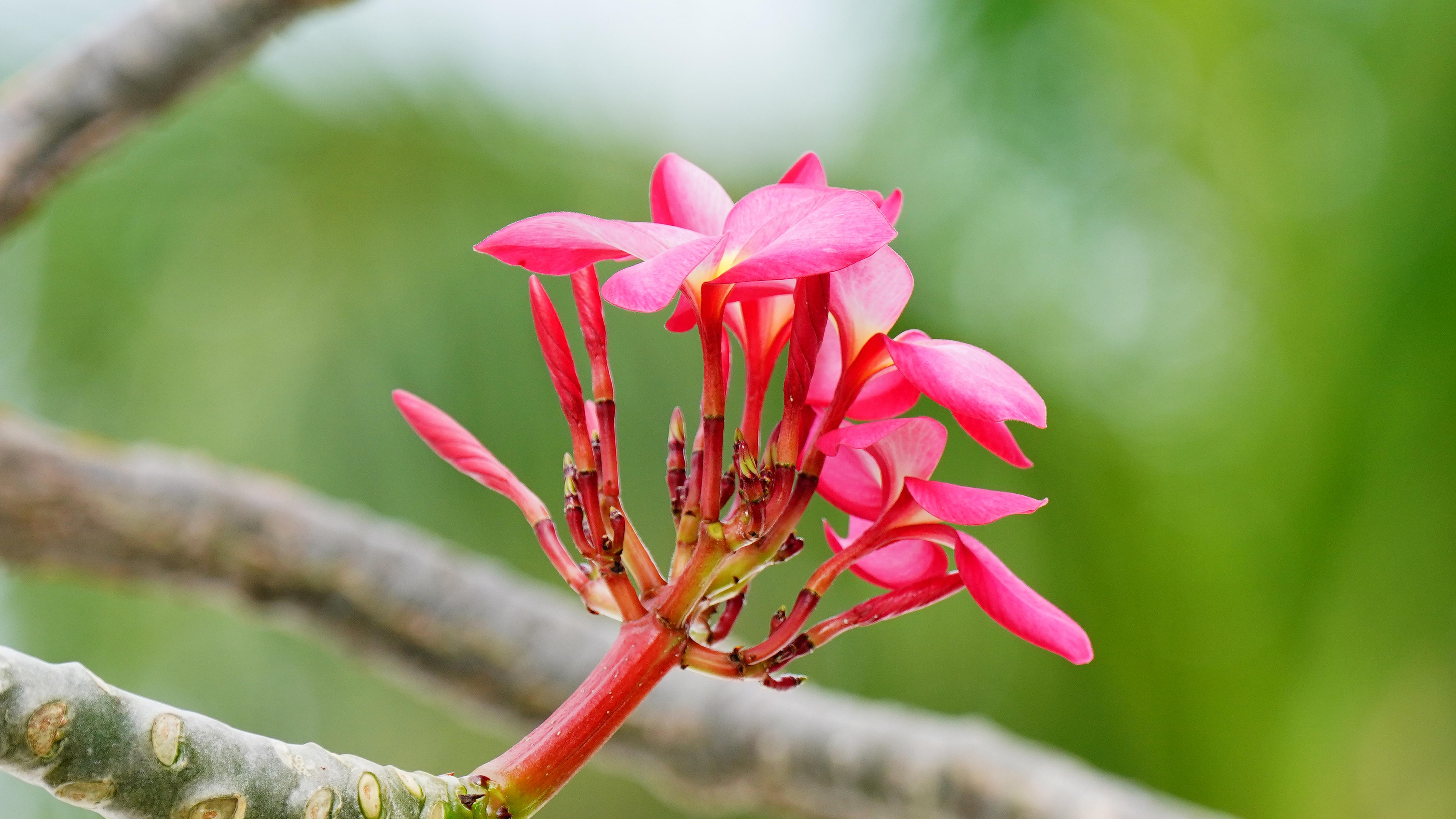 让人后背发凉，不是AI！而是空气养活人类