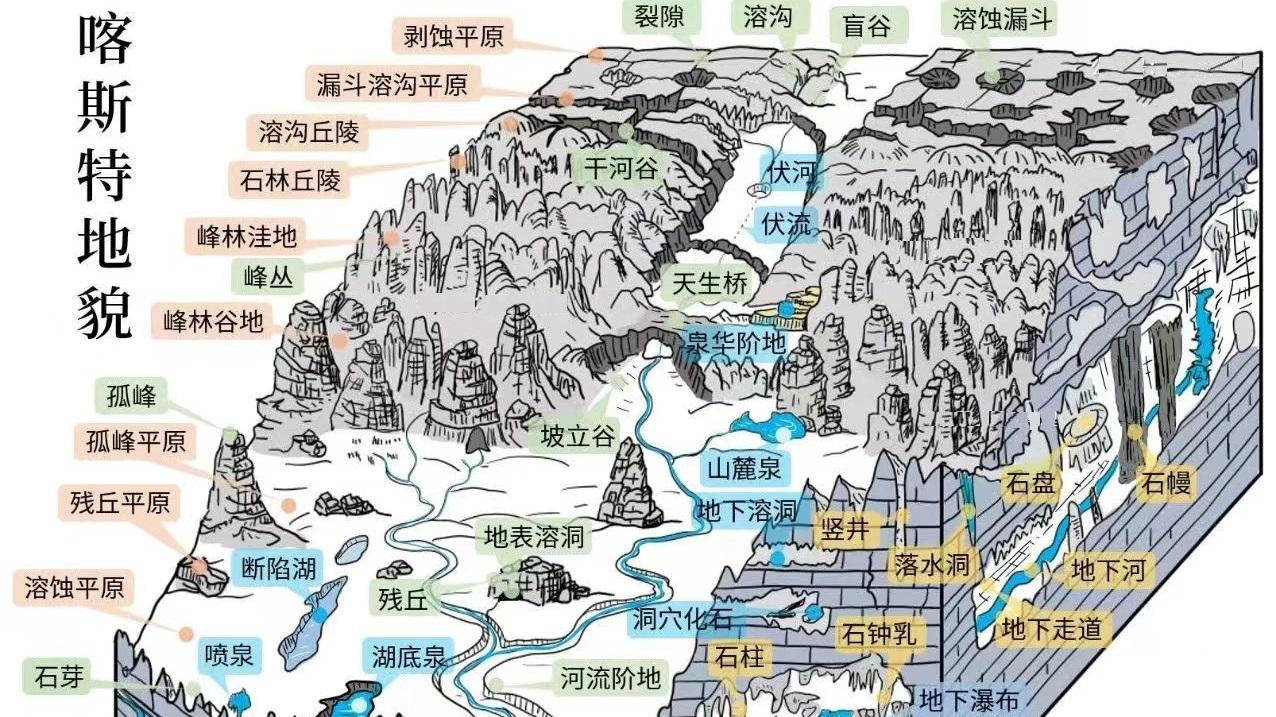 地处我国西南地区的贵州，为什么会出现“地下反向森林”？
