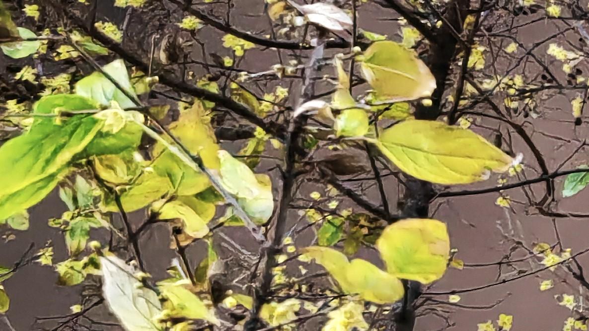 人在职场：好好聊（上）