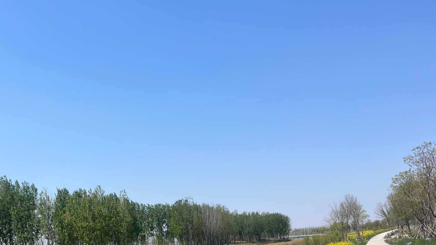 2026年每日通盛及各生肖运势2月26日