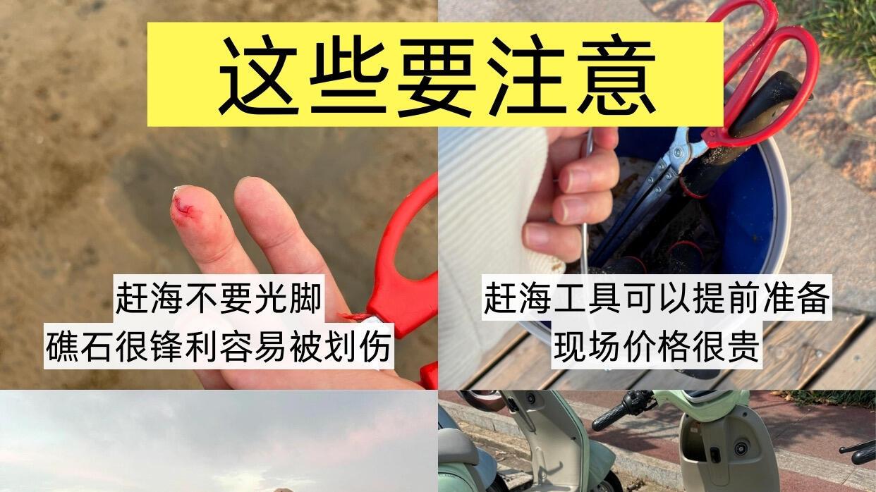 日照之旅，海边旅游指南