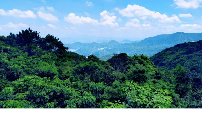 法典护青山 违建工程嚣张到尽头 --《生态环境法典》施行：东莞观音山生态保护迈入法治新时代